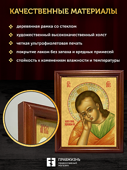 Икона Господа Иисуса Христа Недреманное Око, деревянная рамка со стеклом 15х18х2 см 1224