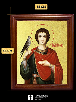 Икона Трифон мученик с золочением, деревянная рамка со стеклом 15х18х2 см 140