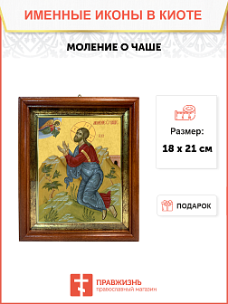 Образ Господа Иисуса Христа "Моление о чаше", 02С9