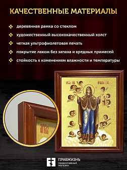 Икона Божией Матери Нерушимая стена с золочением, деревянная рамка со стеклом 15х18х2 см 191