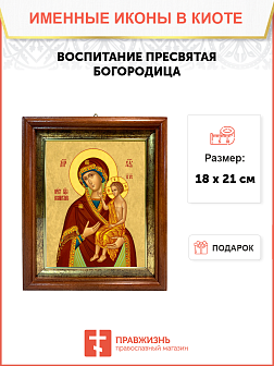 Образ Божией Матери "Воспитание", 03В2 Образ Божией Матери "Воспитание", 03В2