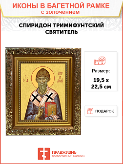 Икона Спиридон Тримифунтский 09С6-УЛ_WB_KRA