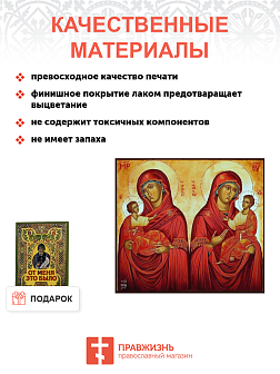 Икона Быстрослышащей