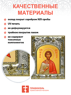 Икона Емилиан Доростольский мученик