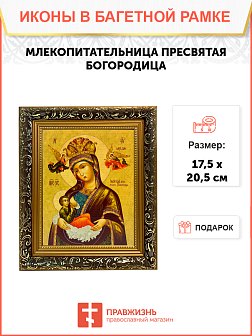 Икона Млекопитательница Божия Матерь на холсте в киоте 106