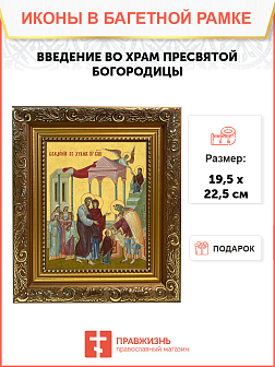 Образ "Введение во храм Пресвятой Богородицы", 05В1