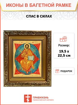 Образ Господа Иисуса Христа "Спас в Силах", 02004