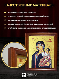 Икона Божией Матери Отрада и Утешение с золочением, деревянная рамка со стеклом 15х18х2 см 1124