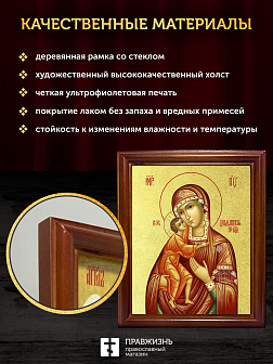Икона Божией Матери Феодоровская с золочением, деревянная рамка со стеклом 15х18х2 см 145
