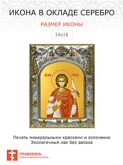 Икона Трифон Апамейский святой мученик