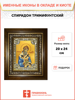 Икона СПИРИДОН Тримифунтский, Святитель