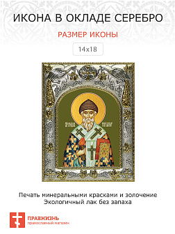 Икона СПИРИДОН Тримифунтский, Святитель