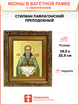 Икона "Стилиан Пафлагонский", св. прп., с золочением поталью, 09С9-УЛ Икона "Стилиан Пафлагонский", св. прп., с золочением поталью, 09С9-УЛ