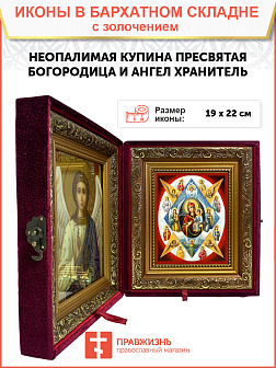 Икона Божией Матери "Неопалимая Купина" с золочением поталью, 03044-УЛ