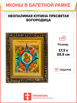 Икона Неопалимая Купина Божия Матерь на холсте в киоте 181