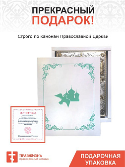 Икона Пресвятой Богородицы ЦЕЛИТЕЛЬНИЦА (СЕРЕБРЯНАЯ РИЗА)