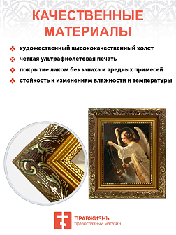 Образ Архангела Селафиила, 04018