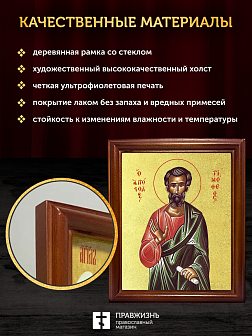Икона Тимофей апостол с золочением, деревянная рамка со стеклом 15х18х2 см 138