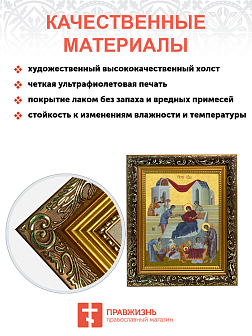 Образ Божией Матери "Рождество Пресвятой Богородицы", 05Р5 Образ Божией Матери "Рождество Пресвятой Богородицы", 05Р5