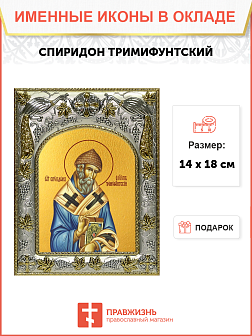 Икона Спиридон Тримифунтский святитель