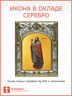Икона Василий Великий святитель