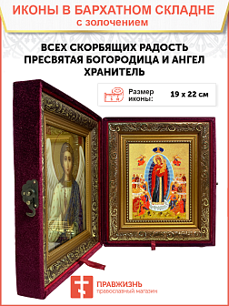 Икона Божией Матери "Всех Скорбящих Радость" с золочением поталью, 03009-УЛ