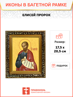 Образ святого Елисея, Пророка ветхозаветного, 09Е1