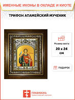 Икона ТРИФОН Апамейский, Никейский, Мученик (в КИОТЕ)