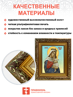 Образ Божией Матери "Отчаянных единая надежда", 03О1