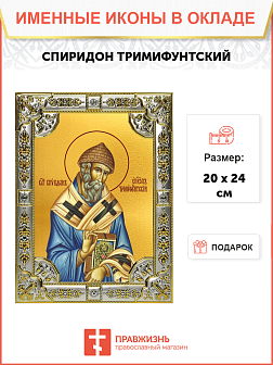 Икона Спиридон Тримифунтский святитель