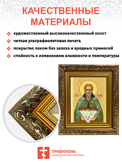 Образ святого Стилиана Пафлагонского, преподобного, 09С9 Образ святого Стилиана Пафлагонского, преподобного, 09С9