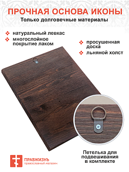 Не используетс Царская Икона 040 Рождество Пресвятой Богородицы 20х28 