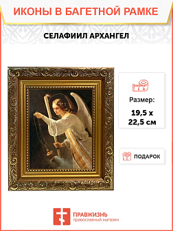Образ Архангела Селафиила, 04018
