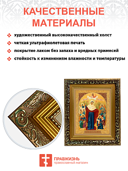 Икона Божией Матери "Всех Скорбящих Радость" с золочением поталью, 03008-УЛ