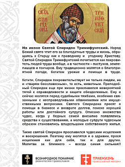 Икона именная Спиридон Тримифунтский гальваника 135