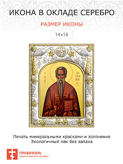 Икона ХАРАЛАМПИЙ (Харлампий) Магнезийский, Священномученик (СЕРЕБРЯНАЯ РИЗА)