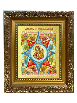 Икона Божией Матери "Неопалимая Купина" с золочением поталью, 03045-УЛ