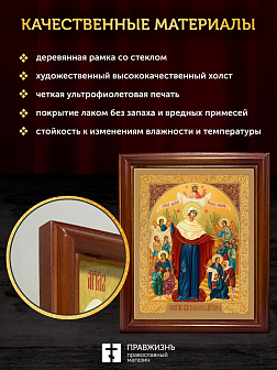 Икона Божией Матери Всех скорбящих Радость с золочением, деревянная рамка со стеклом 15х18х2 см 153 Икона Божией Матери Всех скорбящих Радость с золочением, деревянная рамка со стеклом 15х18х2 см 153