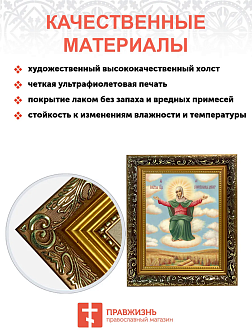 Образ Божией Матери "Спорительница хлебов", 03С1