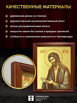 Икона Иоанн пророк Предтеча и Креститель Господень с золочением, деревянная рамка со стеклом 15х18х2