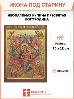 Икона Неопалимая Купина Пресвятая Богородица