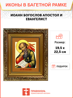 Образ святого Иоанна Богослова, апостола и евангелиста, 09045