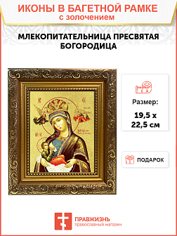 Икона Божией Матери "Млекопитательница" с золочением поталью, 03043-УЛ