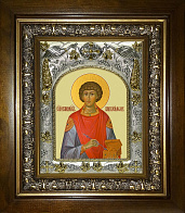 Икона ПАНТЕЛЕИМОН Целитель, Великомученик