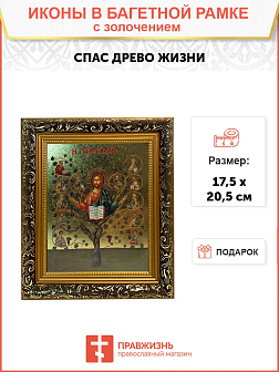 Икона Спас Древо Жизни