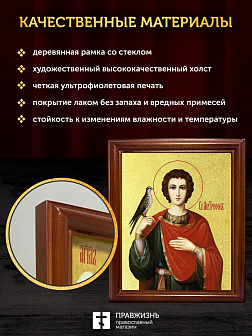 Икона Трифон мученик с золочением, деревянная рамка со стеклом 15х18х2 см 140