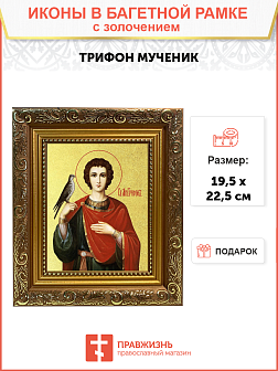 Икона "Трифон", св. мч., с золочением поталью, 09110-УЛ Икона "Трифон", св. мч., с золочением поталью, 09110-УЛ