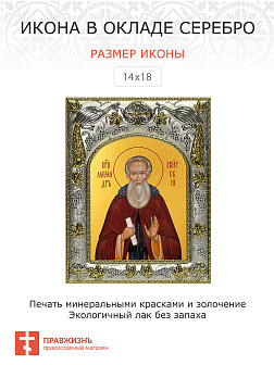 Икона АЛЕКСАНДР Свирский, Преподобный