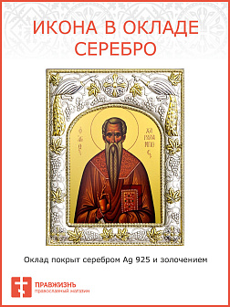 Икона ХАРАЛАМПИЙ (Харлампий) Магнезийский, Священномученик (СЕРЕБРЯНАЯ РИЗА)