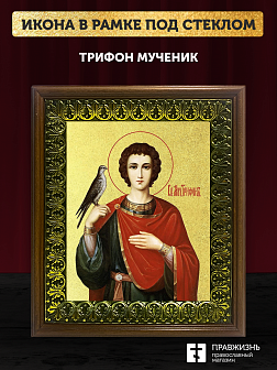Икона Трифон мученик с золочением, деревянная рамка с басмой и стеклом 18х21х2,5 см 140